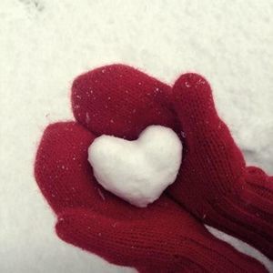 Meet your Posher, Robin